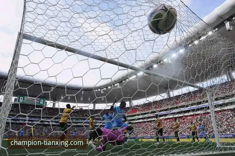 世预赛附加赛决赛夜最新战报，天行体育平台见证四队晋级世界杯